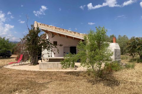 Landejendom i El Perello, Tarragona, El Perello - € 189.000 | Ref: Finca Casa Mont - foto 44